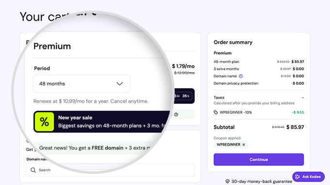 Hostinger checkout page
