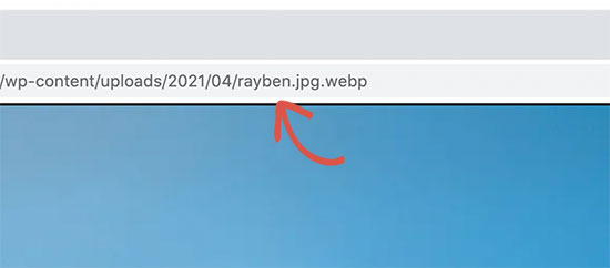 Verify WebP image is served Verify WebP image is served