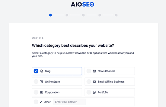 All in One SEO セットアップ