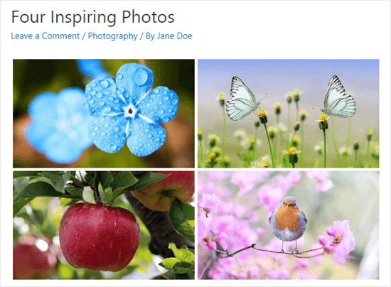 Bilder nebeneinander in WordPress