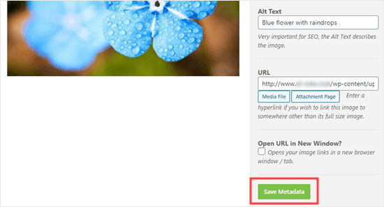 Klicken Sie auf die Schaltfläche Metadaten speichern, um Ihre Änderungen zu speichern
