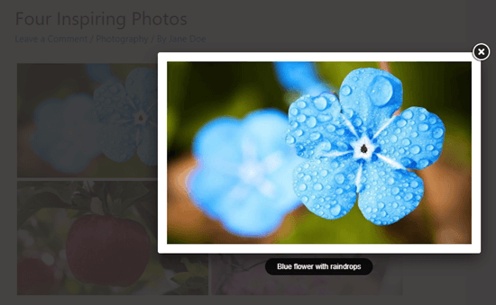 Anzeigen eines Bildes aus der Envira-Galerie in einem Lightbox