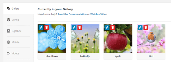 Bilder zu Envira Gallery hochgeladen