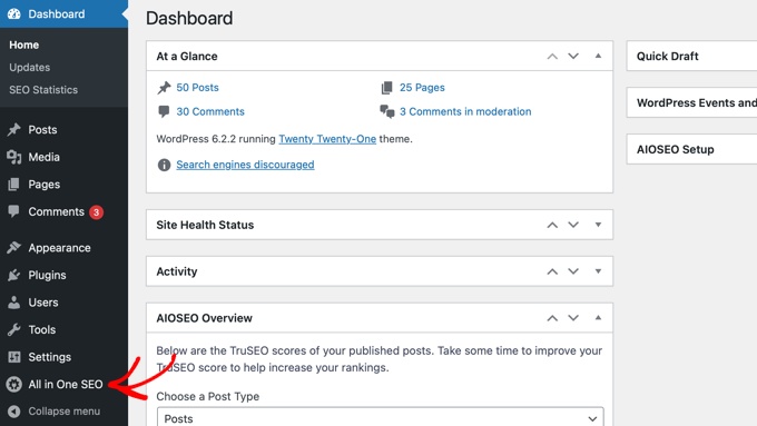 All in One SEO menu item All in One SEO menu item