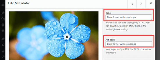 Festlegen des Titels und des Alt-Texts für das Bild