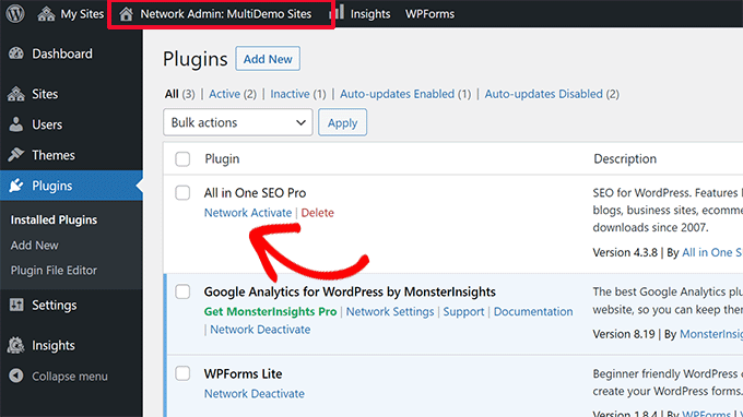Network activate a plugin Network activate a plugin