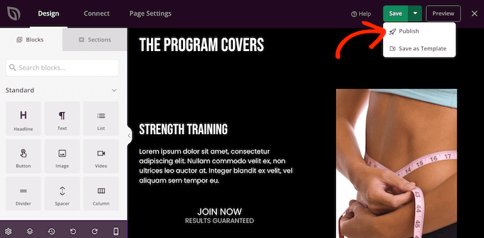 Publishing your custom SeedProd design Publishing your custom SeedProd design