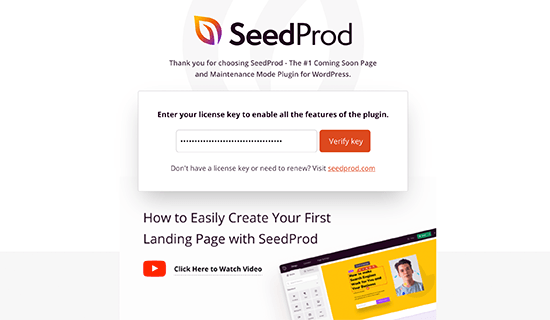 SeedProd license key SeedProd license key