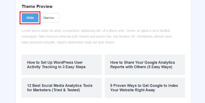 MonsterInsights display options View theme preview