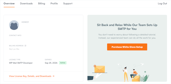 WP Mail SMTP account dashboard
