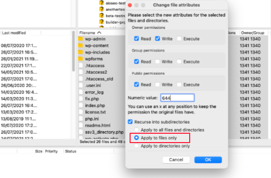 Dosyaların İzinleri 644 Olmalı