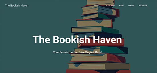 Aperçu du bouton de connexion