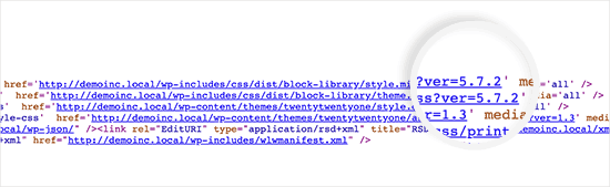 WordPress-Version angezeigt mit CSS- und JS-Dateien