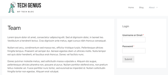Affichage du widget de connexion WPForms