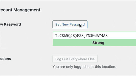 Generating strong passwords in WordPress Generating strong passwords in WordPress