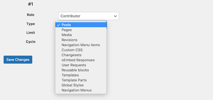 Setarea regulilor pentru diferitele tipuri de conținut în WordPress