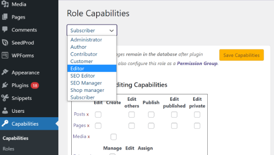 Select user role capabilities Select user role capabilities