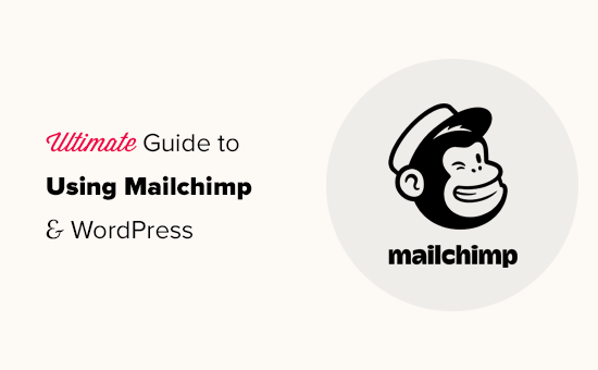 Utiliser Mailchimp avec WordPress