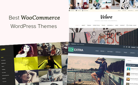 Choosing WooCommerce theme Choosing WooCommerce theme