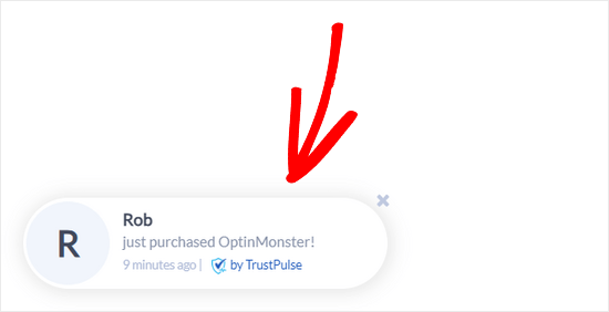 TrustPulse example TrustPulse notification example
