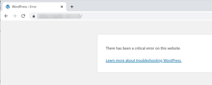 Critical error in WordPress without email instructions Critical error in WordPress without email instructions