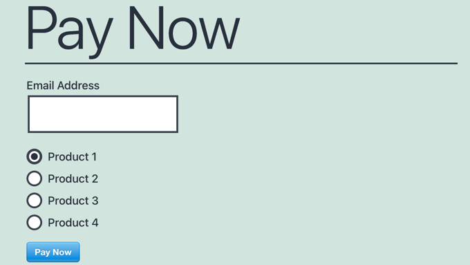 Visit Your Website to See the Payment Form in Action Visit Your Website to See the Payment Form in Action