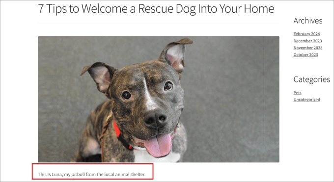 anteprima didascalia immagine in primo piano