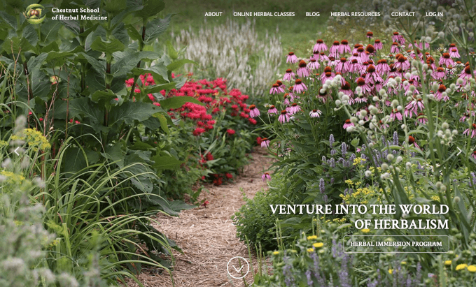 Chestnut School of Herbal Medicine