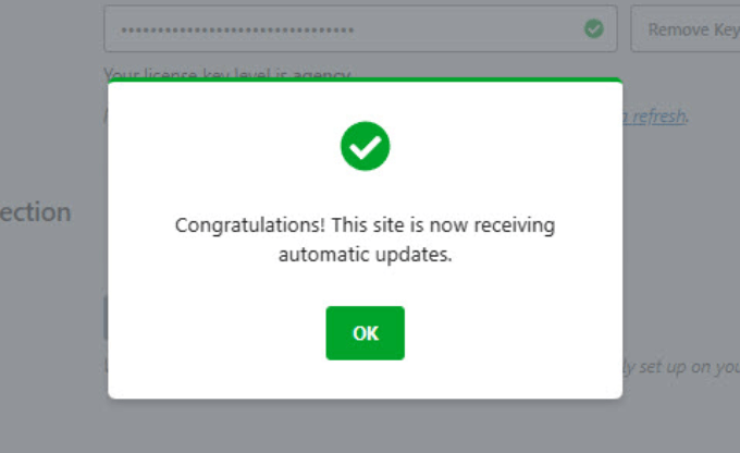 Successfully added license key verification key confirmed