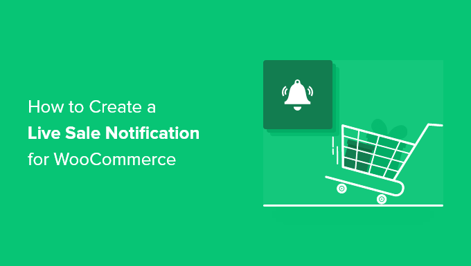 How to Create a Live Sale Notification for WooCommerce How to Create a Live Sale Notification for WooCommerce