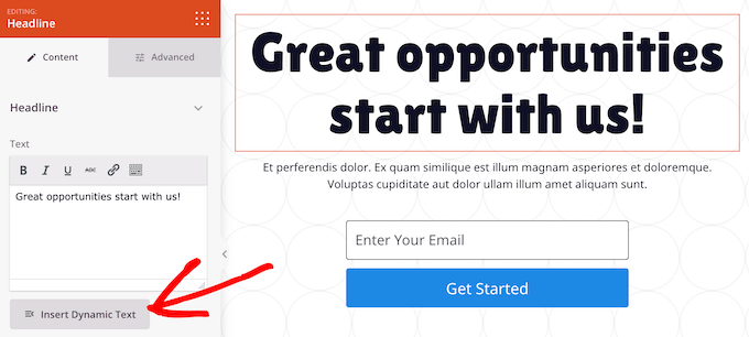 SeedProd dynamic text SeedProd dynamic text