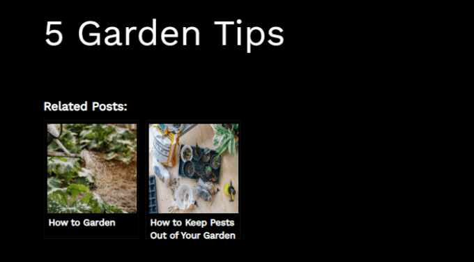 Related Posts after content Related Posts after content
