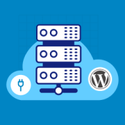 Best WordPress Database Plugins – Expert Pick