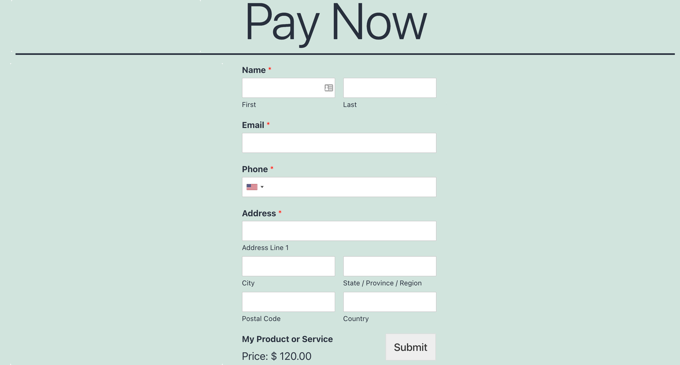 PayPal Payments Form Preview PayPal Payments Form Preview