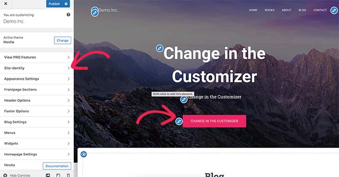 WordPress tema özelleştirici
