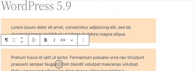Textauswahl über mehrere Blöcke in WordPress 5.9