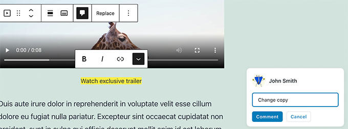 Comentario en bloque de película