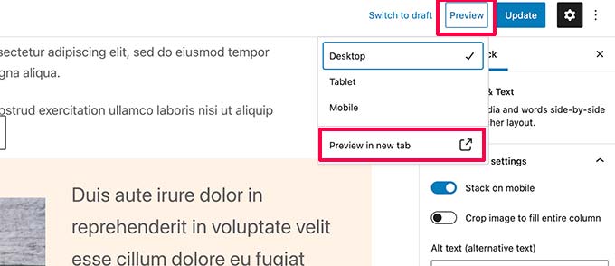 Preview options for post and pages