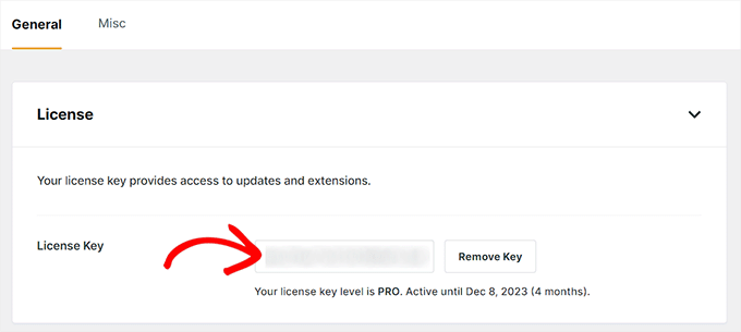 SearchWP license key SearchWP license key