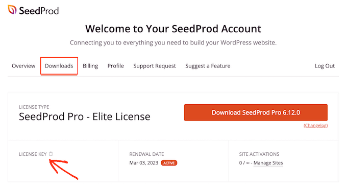 The SeedProd Downloads page The SeedProd Downloads page