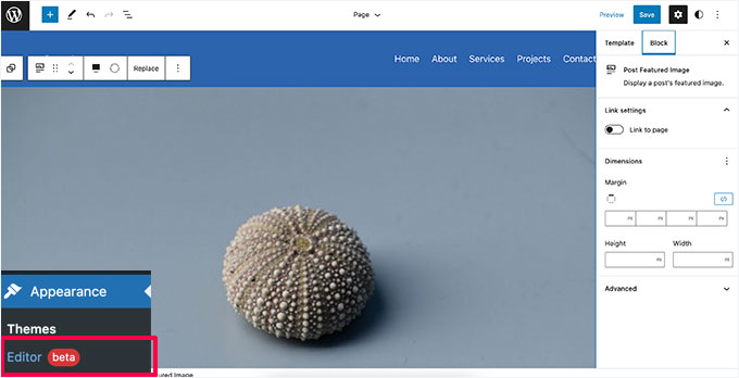 Full site editor preview