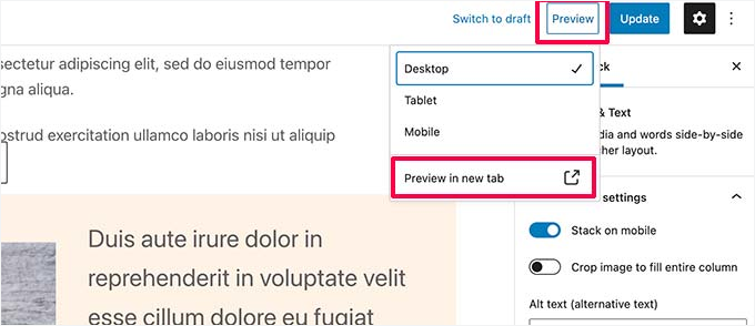Preview options for post and pages