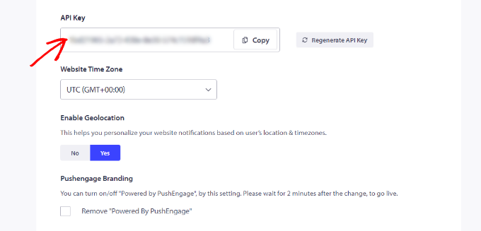 Copy the API key Copy the API key