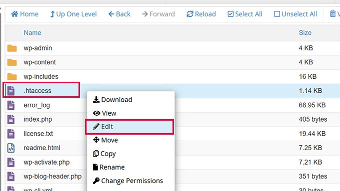 Editing .htaccess file in File manager via cPanel Editing .htaccess file in File manager via cPanel