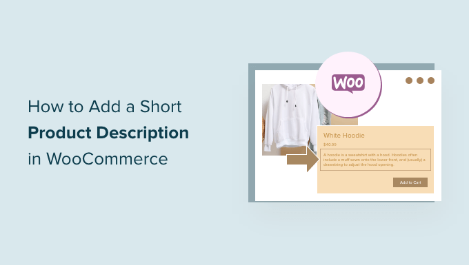 How to add a short product description in WooCommerce How to add a short product description in WooCommerce