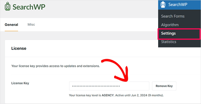 SearchWP lisans anahtarını girin SearchWP lisans anahtarını girin