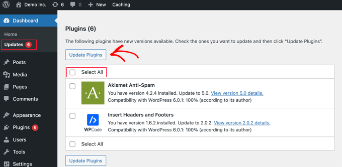 Updating WordPress Plugins From the Updates Page Updating WordPress Plugins From the Updates Page
