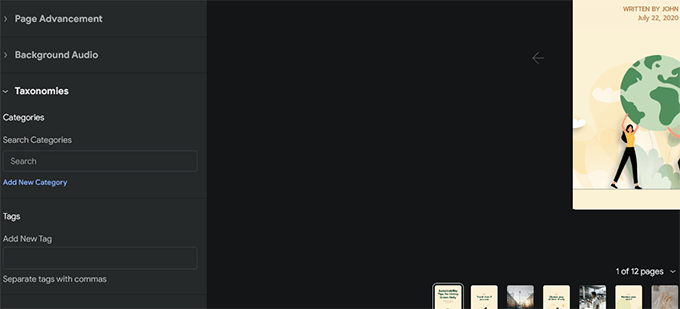 Additional story settings Additional story settings
