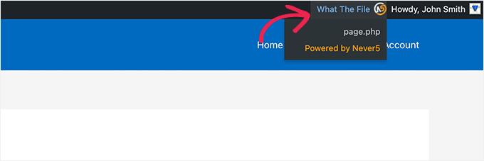 What the file menu What the file menu