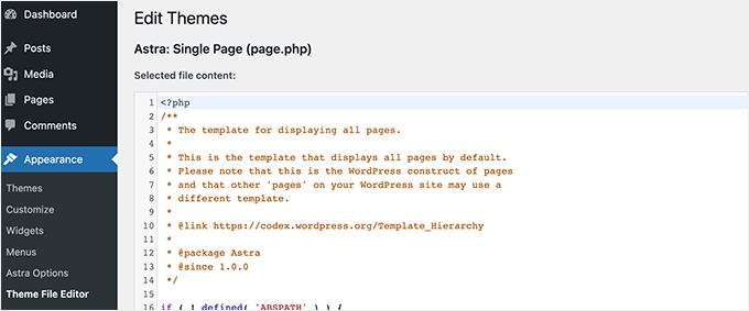 WordPress theme file editor WordPress theme file editor